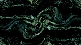 Plant43 - Emerald Abyss